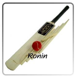 kashmir willow cricket sets