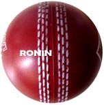 pu cricket balls