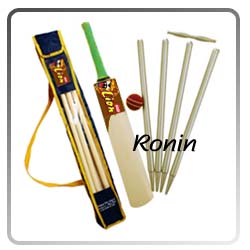 english willow cricket sets